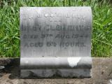 image of grave number 783981